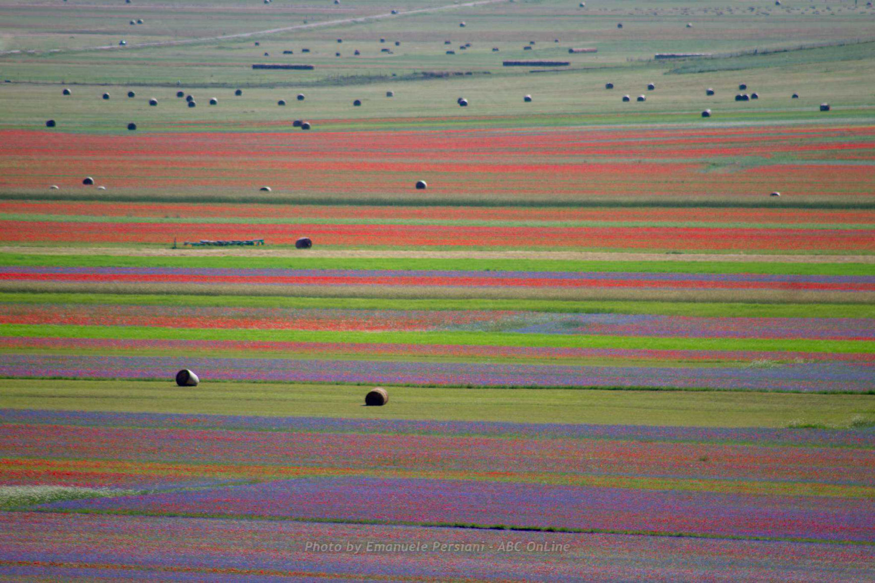 trekking fioritura castelluccio faccio tardi