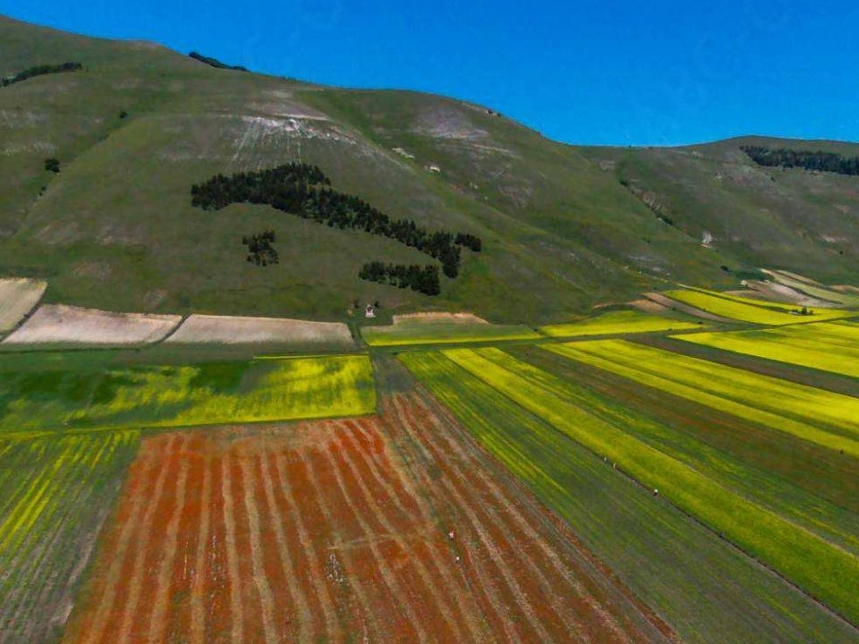 Castelluccio di Norcia